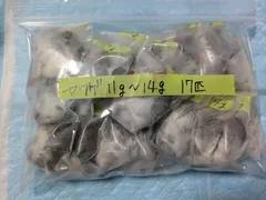 2025年最新】ヤワゲネズミの人気アイテム - メルカリ