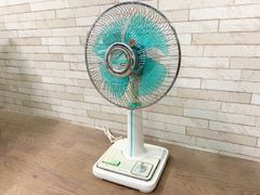 ◆TOSHIBA 東芝 昭和レトロ 扇風機 動作確認済み F-2204NG リビング扇 羽根 グリーン ヴィンテージ (他184)