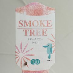 【庭木】スモークツリー・クイン
