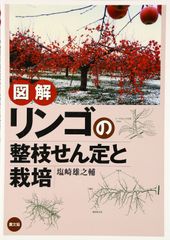 ひで様 検討品弘前産ふじ＆黄色りんご栽培中農薬不使用 りんご 9.8k