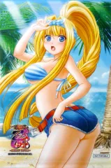 【中古】タペストリー 足利ヨシテル A3タペストリー 「PS Vitaソフト 戦国乙女 ～LEGEND BATTLE～」 ゲーマーズ購入特典