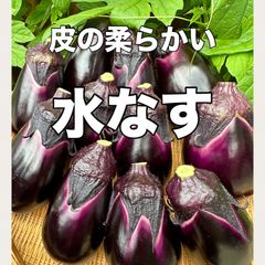 丹波産‼️水なす‼️皮が柔らかくてみずみずしい‼️