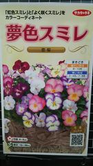 夢色 スミレ 恋桜 パンジー 種 ３袋セット