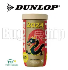 2024年最新】ダンロップ [DUNLOP] フォート 1缶（2球入）テニスボール ...