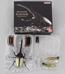 【中古】トレーディングフィギュア いきもの大図鑑プレミアム ヘラクレスオオカブト ガシャポンオンライン限定