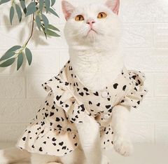 犬の服　ハート柄ワンピース