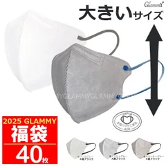 福袋 2025 【送料無料 40枚】 マスク ラッキーパック 大きめ バイカラー 不織布 立体 3D カラー ホワイト 白 グレー 使い捨て ビジネス 花粉症 ノーズワイヤー 全国マスク工業会 大人 男性 メンズ 女性 /item-0522/item-0546