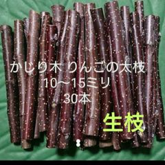 Item thumbnail for item 36fea16d-888f-4bee-b406-e0e1e5951ea9