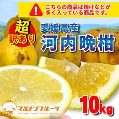 推奨！鮮度保持発送！ ※必ず説明文を読んで納得して購入をお願いいたします。【超訳あり品】愛媛県産　河内晩柑　10kgのサムネイル