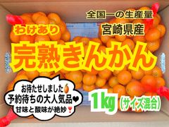 【感謝セール❣️先着10名様】訳あり・露地きんかん1㎏/金柑　キンカン　果物