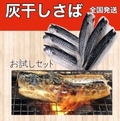 勝浦灰干しさば店　送料込　TVで紹介された鯖！全国発送　お試しセット　リピート　絶品　TV 鯖寿司　サバ　焼きさば寿司　特殊な製法で1枚1枚丁寧に製造　朝市