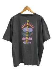 2025年最新】パタゴニア usa製 黒タグ tシャツの人気アイテム - メルカリ