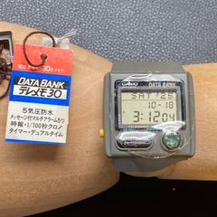 レア 希少 ヴィンテージ 緑ボタン CASIO カシオ データバンク DB-33W