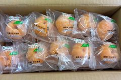 【冷凍】八ちゃん堂 むかん S玉(個包装)　1ケース(40個入り)　冷凍みかん　みかん