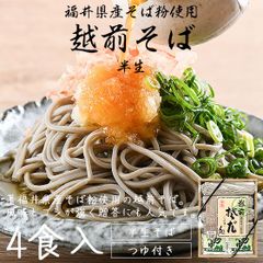 そば 蕎麦 越前そば 4食入り 半生 つゆ付き 福井 お土産 贈答 ギフト
