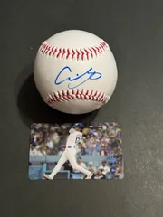 2025年最新】大谷翔平直筆サインボールの人気アイテム - メルカリ