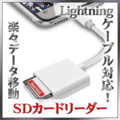 iPhone iPad SDカードリーダー  データ 転送 ライトニング