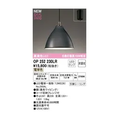 オーデリック ODELIC OP252230LR ランプ別梱包【沖縄離島販売不可】