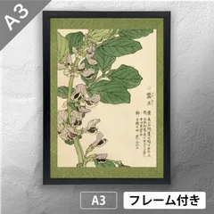 日展会員　野々内 宏　落款印譜 共シール『雀』日本画 岩絵具彩色 1025D 日展会員 野々内 宏 落款印譜 近付こ 共シール『雀』日本画 岩