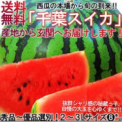 厳選大玉スイカ 約7～9kg 1玉入り 贈答規格 千葉県産 大玉～特大サイズ 優品～秀品 富里・成田・船穂を始めとした国内屈指の産地が誇る旬の味！