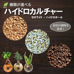 【ハイドロカルチャー植え替え用】 観葉植物 ハイドロカルチャー 4号用 植え替え 室内用 鉢植え 選べる 植え込み材 ハイドロボール ハイドロコーント 4号鉢 送料無料 [植え替えオプション]