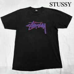 STUSSY ステューシー Tシャツ 半袖 ストックロゴ フロント プリント ローカルカラー 秋田限定  半袖Tシャツ クルーネック ブラック