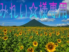 みれい☆様専用