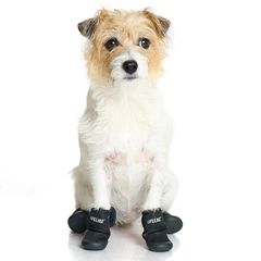 Item thumbnail for item bb44438c-c6a3-48d7-889b-e097d0d97bb2