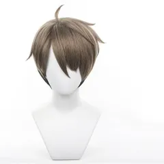 【数量限定】学園祭 イベント 専用ネット 文化祭 コスプレかつら 高温ヘア糸 耐熱ウィッグ 撮影用 コスプレ ウィッグ みやおさむ 変装用 宮治 ハイキュー!! Sizuuenn