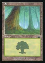 インベイジョン foil 森(348)b 日本語 1枚 MP寄り MTG - メルカリ