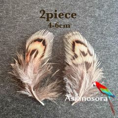 ◾️⭐︎【SS6】2枚セット 羽根 フェザー 鳥 パーツ 材料 アクセサリー 素材