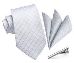 [HISDERN] A3-01 結婚式 シルバー ネクタイ チーフ タイクリップ 3点セット 幅8.5cm メンズ ブランド ギフト ボックス付き 冠婚葬祭 婚礼用 礼服用 紳士用 新郎 12柄