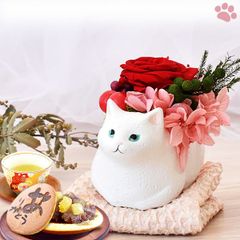 【おいもや公式】母の日限定 一寸 【白猫】ねこ ねこグッズ 動物 どら焼き プリザーブドフラワー おしゃれ 可愛い スイーツ お菓子 和菓子 インテリア 雑貨 造花 ミニ (お届け時期:5/5～11のいずれか)