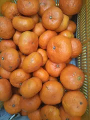 2024年最新】愛媛みかん甘平の人気アイテム - メルカリ 