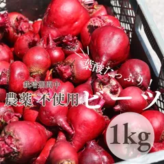 新鮮ビーツ】14kg 【無農薬・無化学肥料】