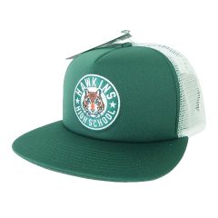 나이키 NIKE × 스트레인저 싱스 프로 캡 Stranger Things Pro Cap 모자 로고 자수 CQ8461-323 ONE SIZE 프리 사이즈 녹색 그린