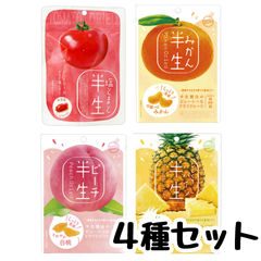半生フルーツ ドライフルーツ ドウシシャ （トマト、ピーチ、みかん、パイン)【お試し4種セット】
