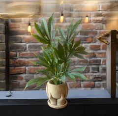 光触媒　大麻　フェイクグリーン　マリファナ　人工観葉植物　お手手　草　CBD45.@@admjh