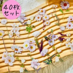 花柄フレークシール 白 植物 葉っぱ コラージュ素材 紙モノ おすそ分け まとめ売り 紙もの ジャンクジャーナル スクラップブッキング レター 手紙 包装 デコレーション ラベル ステッカー ペーパークラフト 工作 手芸 材料 ギフトラッピング