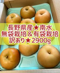 長野県産★南水梨★無袋&有袋★訳あり★2900g