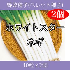 野菜種子 TVA10 ホワイトスターネギ 10粒 x 2個