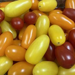 豊橋産フルーツミニトマト　あまえぎみ　クレア（3色MIX）1ｋｇ ギフトに最適