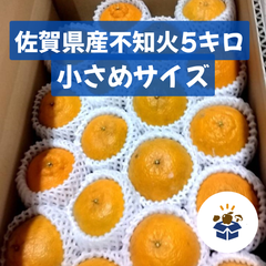 【小さめサイズ】佐賀県産 不知火 5kg