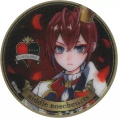 ツイステッドワンダーランド メタルカードコレクション リドル・ローズ