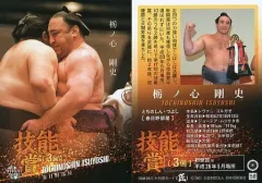 2025年最新】栃ノ心剛史の人気アイテム - メルカリ