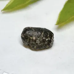 漆黒の炭素質コンドライトNWA 6368隕石標本 2025年最新】コンドライト