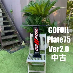 GOFOIL マストver2.0プレートマスト80cm GoFoil Carbon Plate Mast V2
