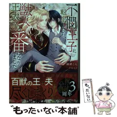 アンダルシュノベルスBLノベルまとめ売り13冊 アンダルシュノベルスBLノベルまとめ売り13冊