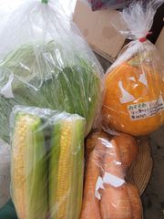 初めての方用　野菜セット