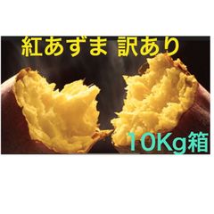 さつまいも 令和5年産 新物 紅あずま10Kg箱 千葉県産 B品~2S~Lサイズ